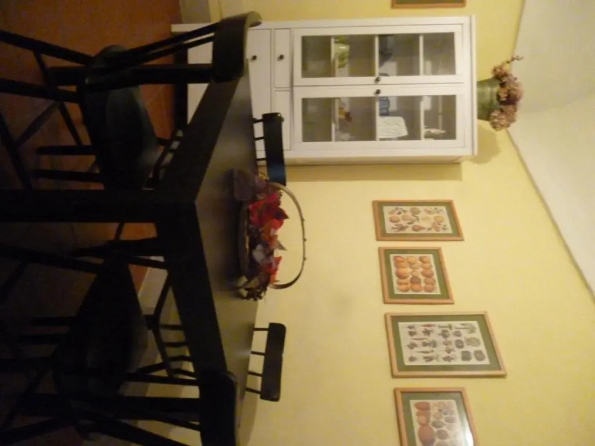 Luisa in Palazzo Bianchi