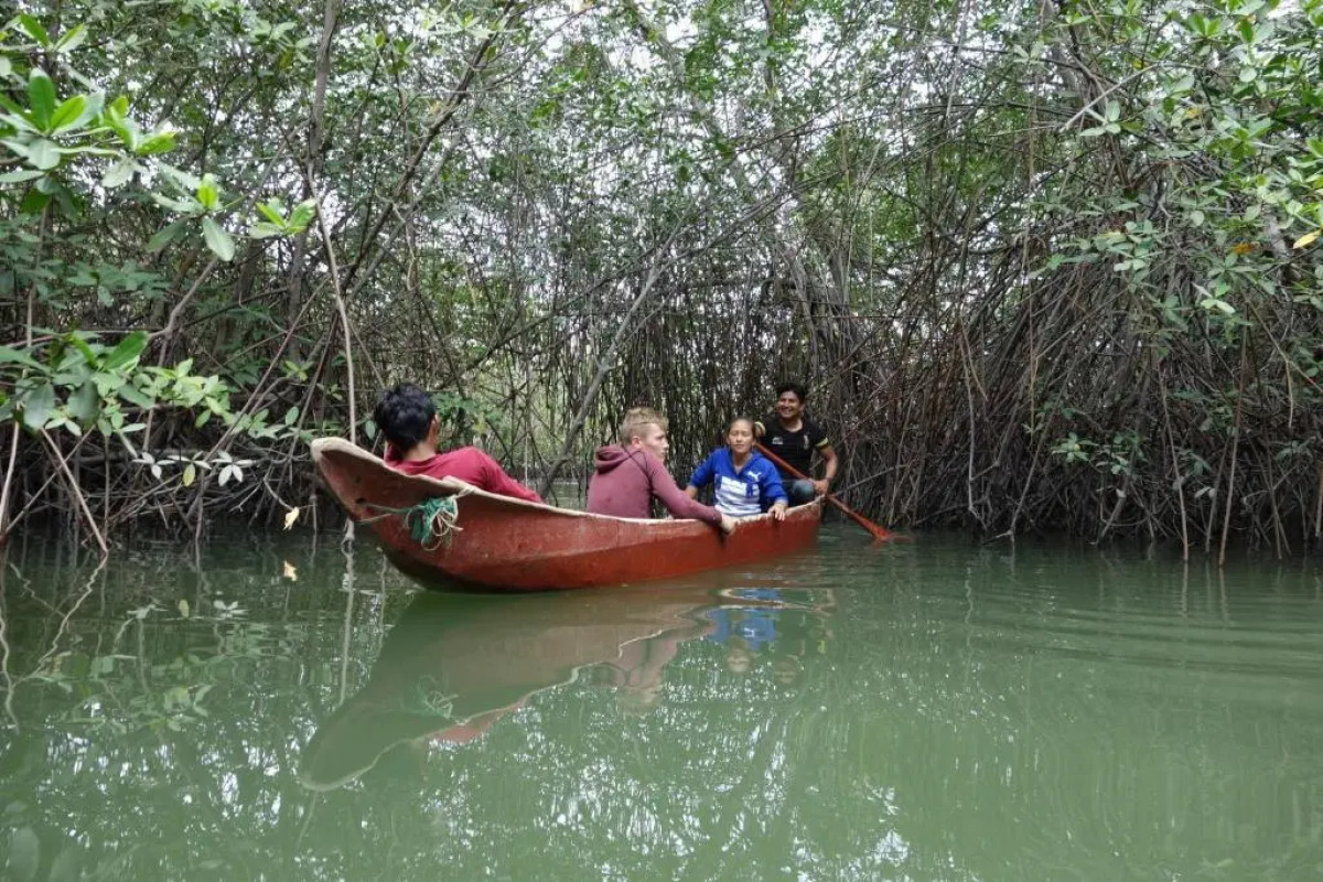 Manso Boutique Guesthouse