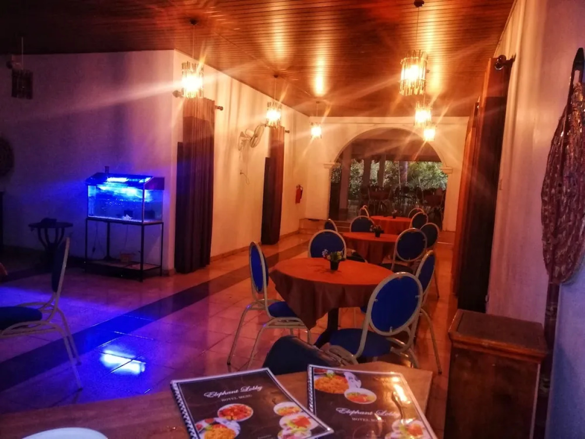 Hotel Elephant Lobby