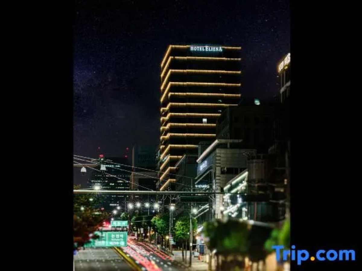 Hotel Eliena Seoul Gangnam
