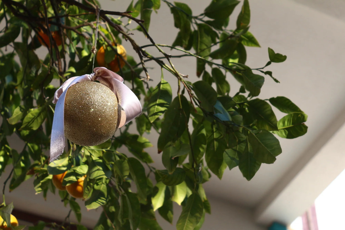 Delight Deluxe Aparts