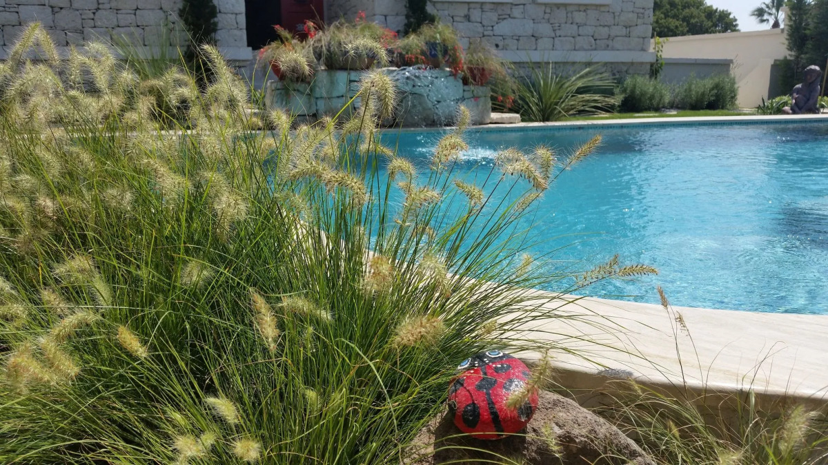 Cassiopeia Hotel Alacati