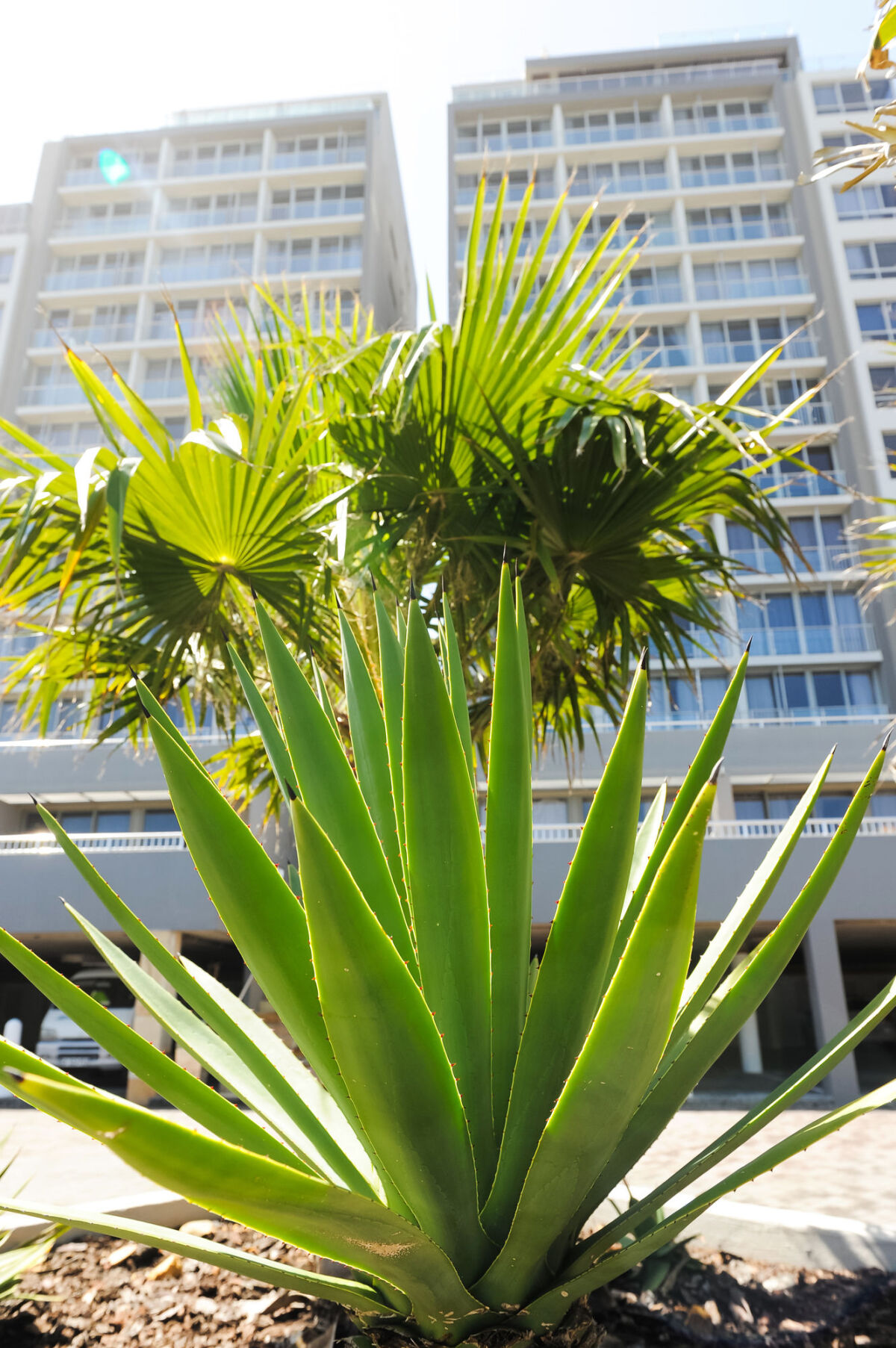 Infinity Self-Catering Apartments