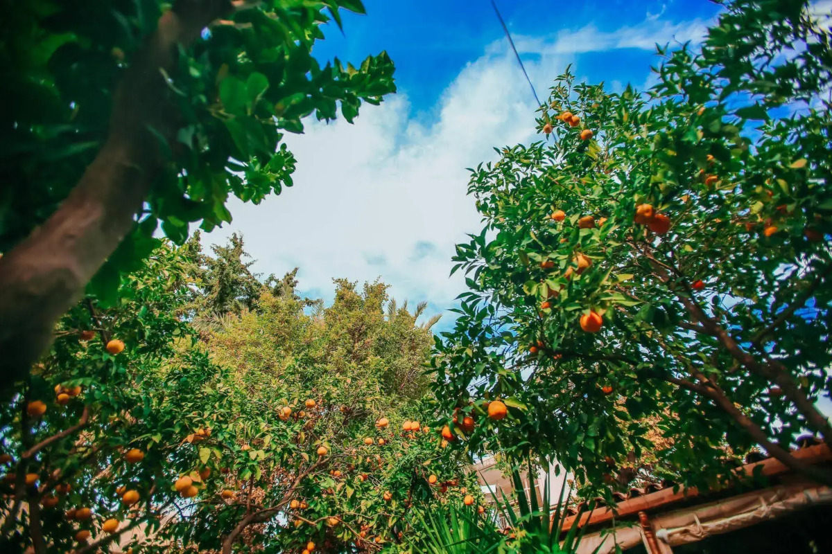 Hadrianus Boutique Hotel