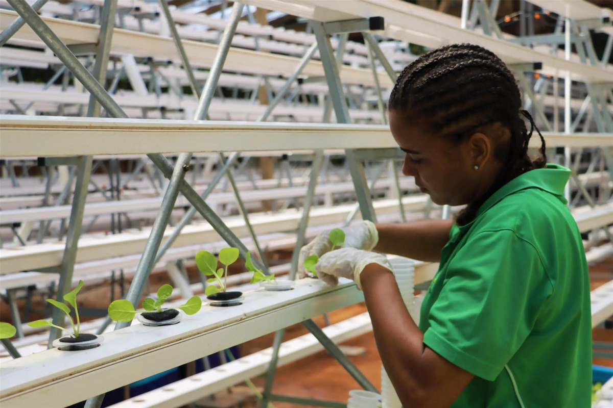 Kempinski Seychelles Resort