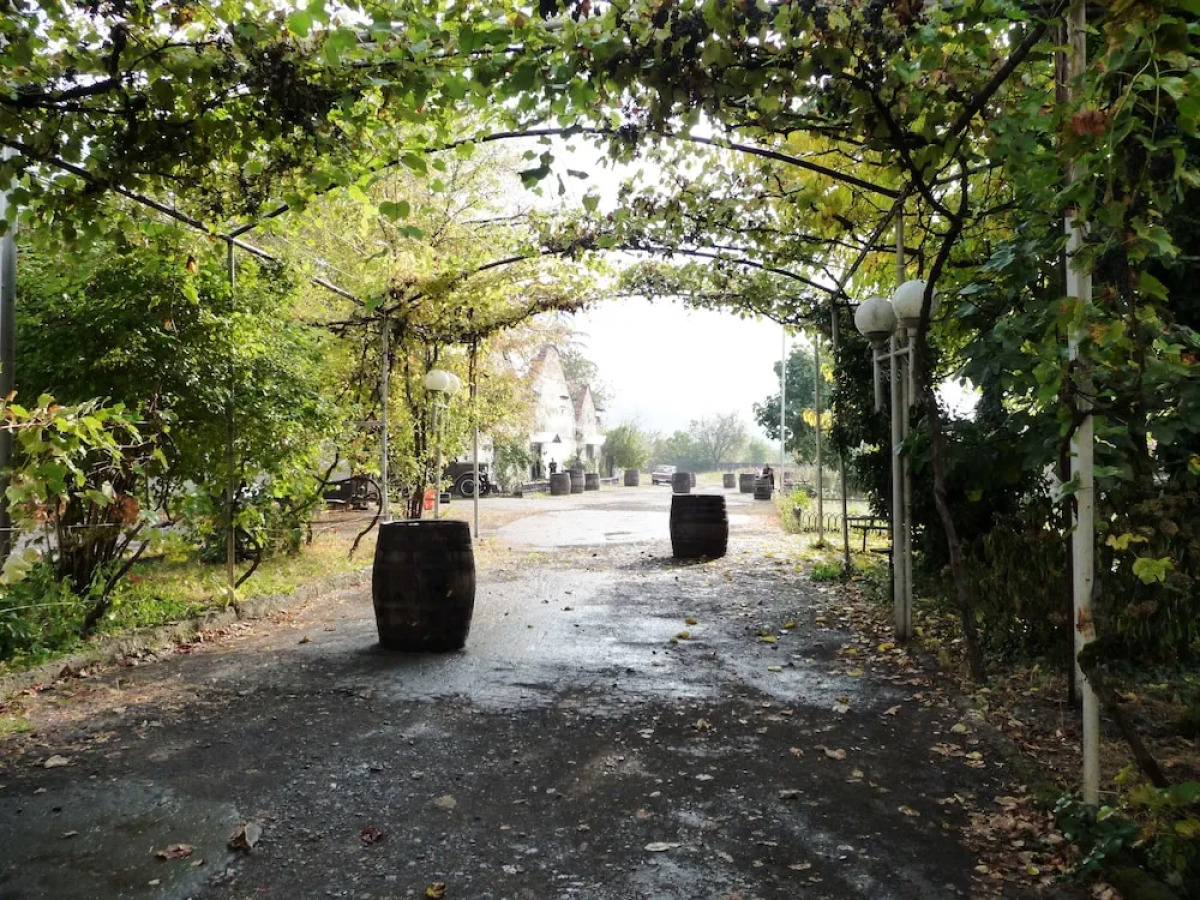 Отель Chateau Eniseli