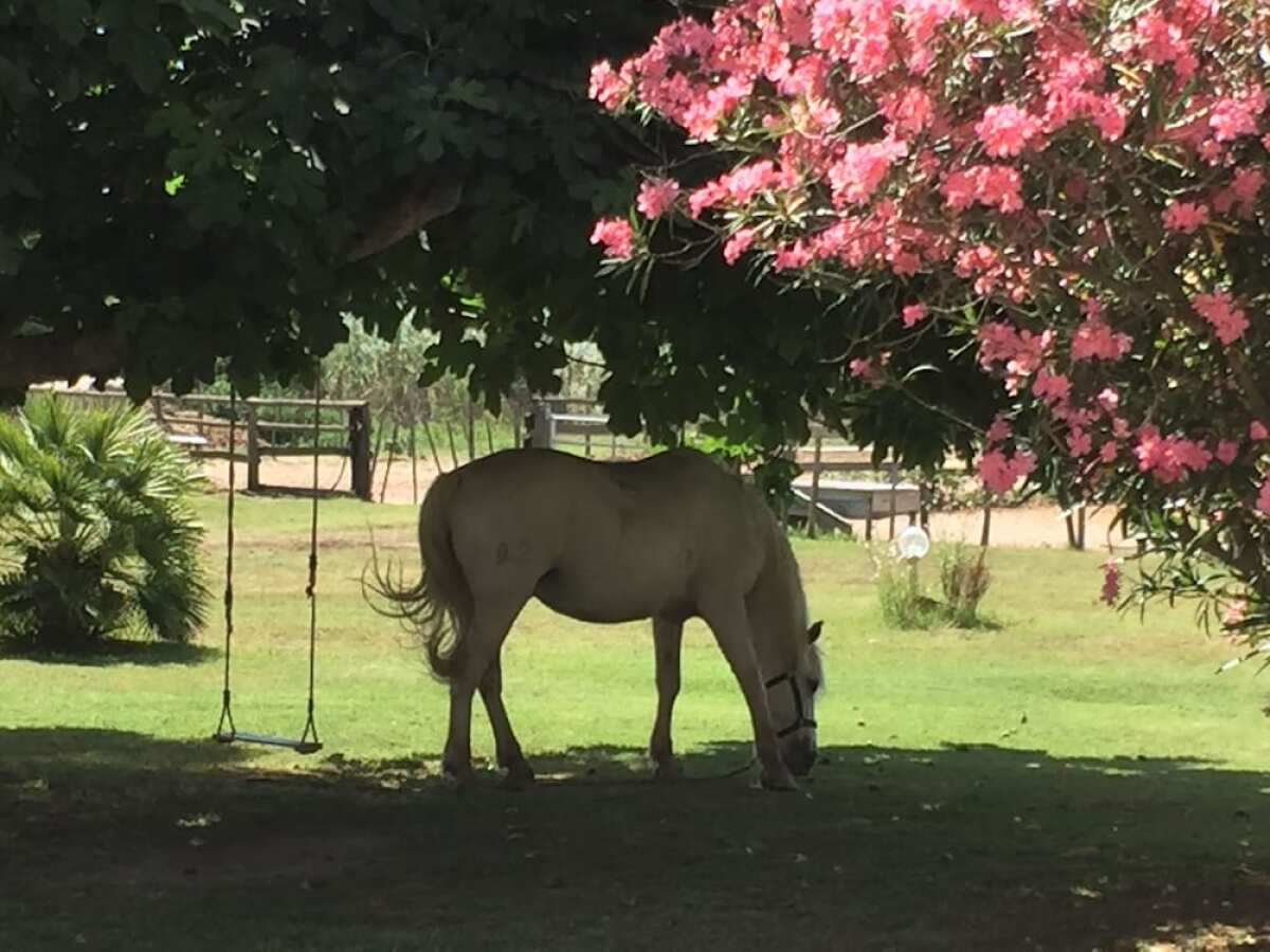 Hôtel Mas des Barres