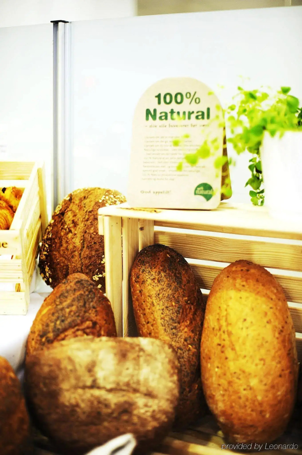 Vander House Apartments