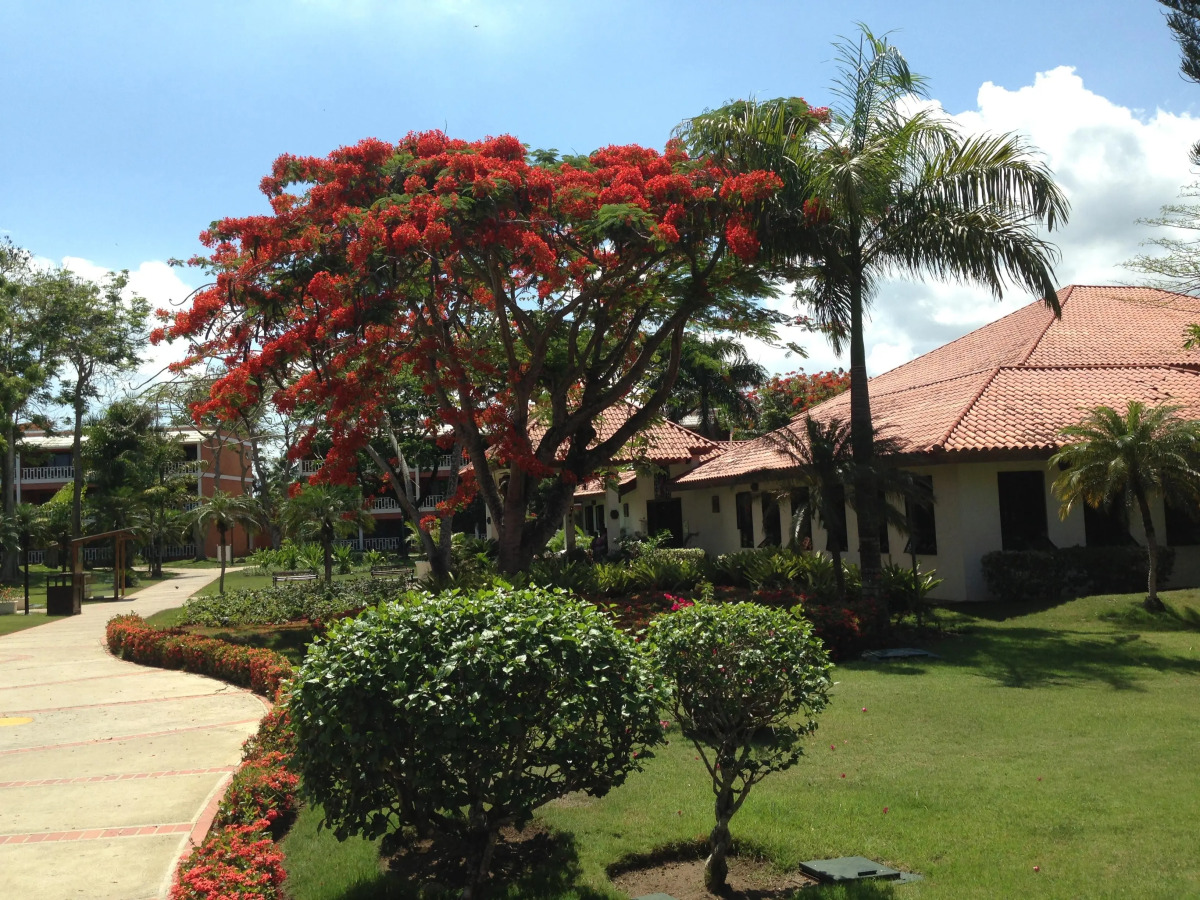 BelleVue Dominican Bay - All Inclusive