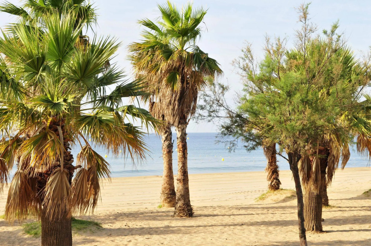 Hotel Méditerranée by Miléade