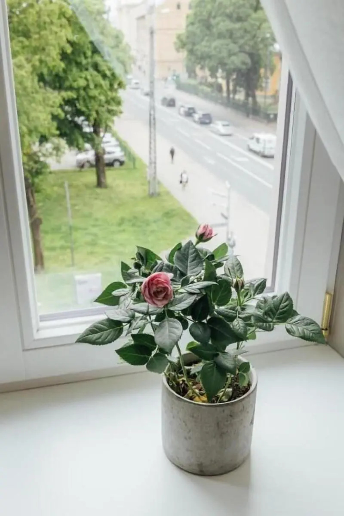 Апарт-отель Amella