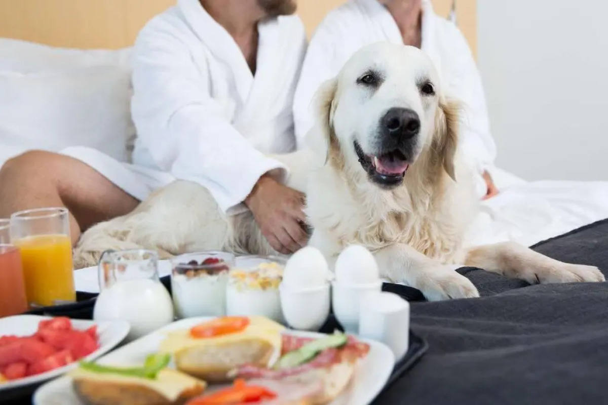 Best Western Plus Park City Malmo