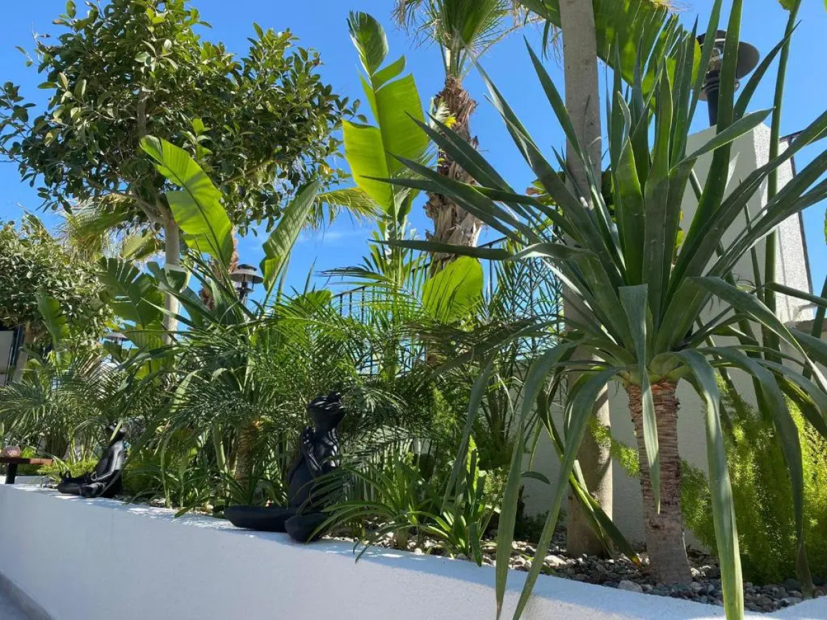 Primus Alacati Adult Only