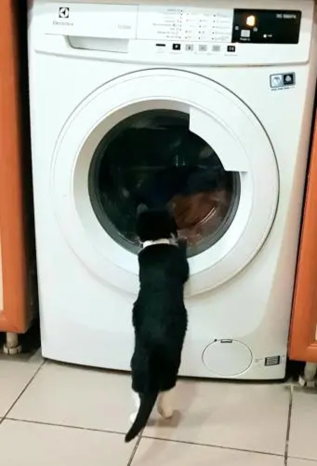 Тапок Хостел