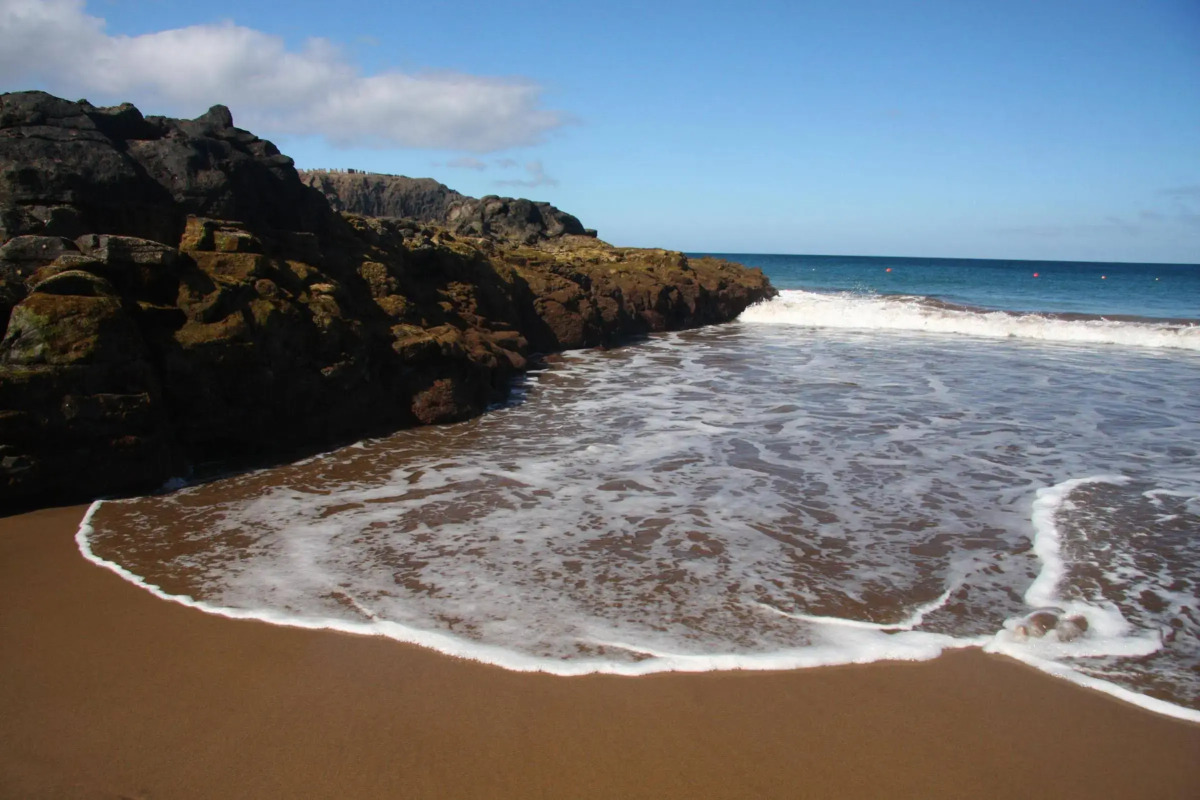 Occidental Roca Negra – Adults Only