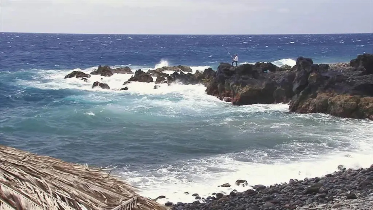 Отель The Views Oasis - Family Friendly