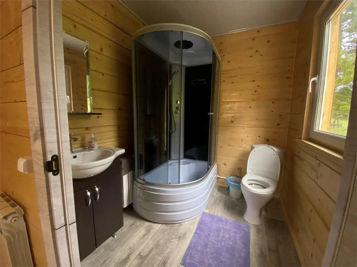 Кедр Золотой