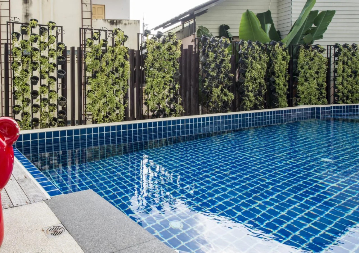 The Frutta Boutique Patong Beach