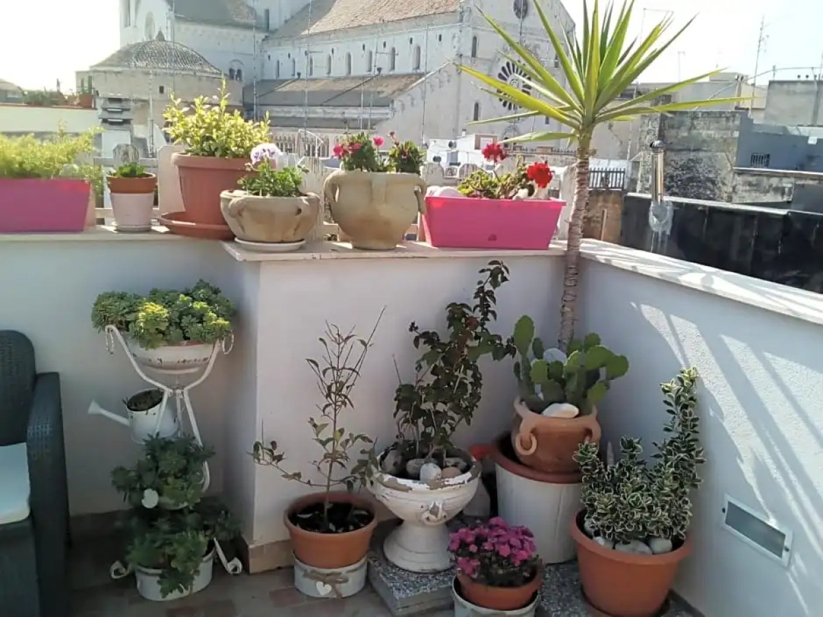 B&B La Maison Del Borgo Antico