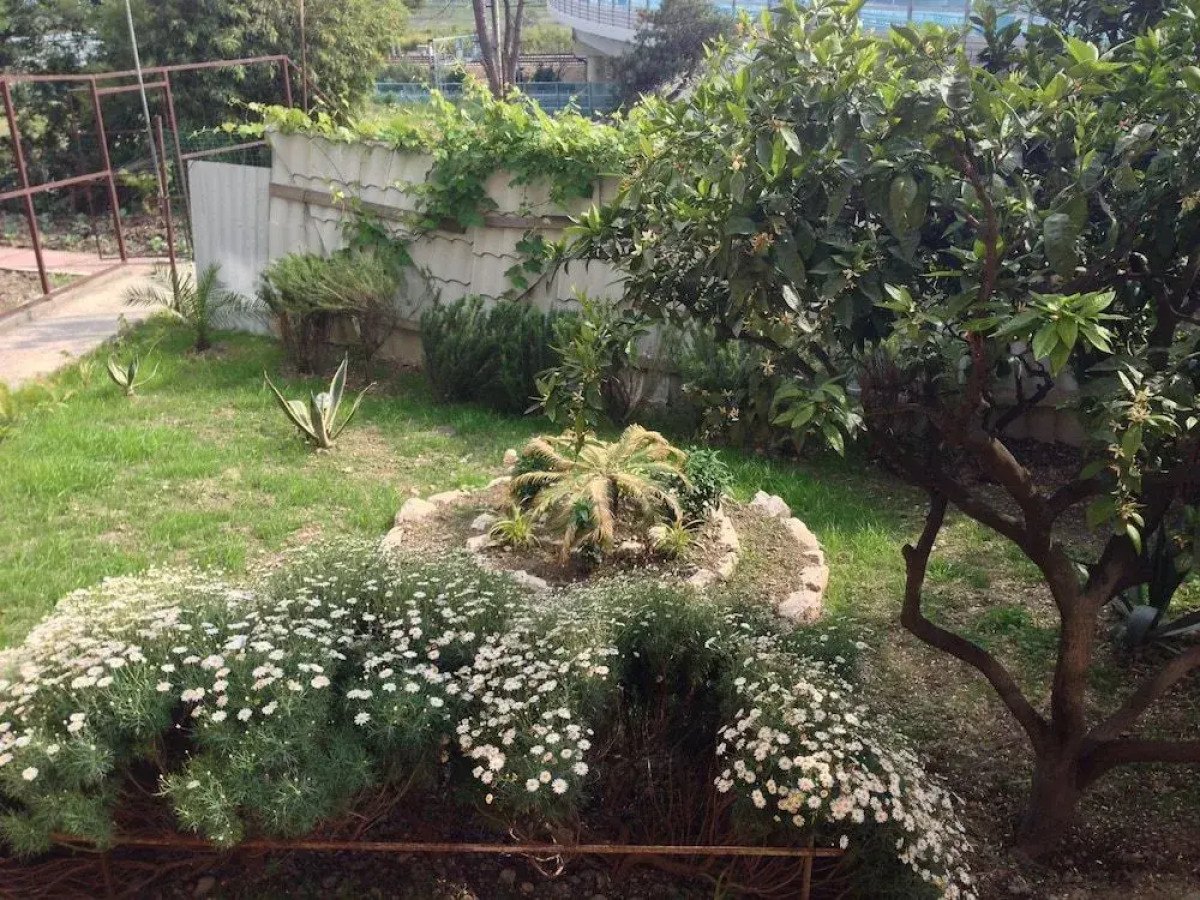 Отель «Барса»