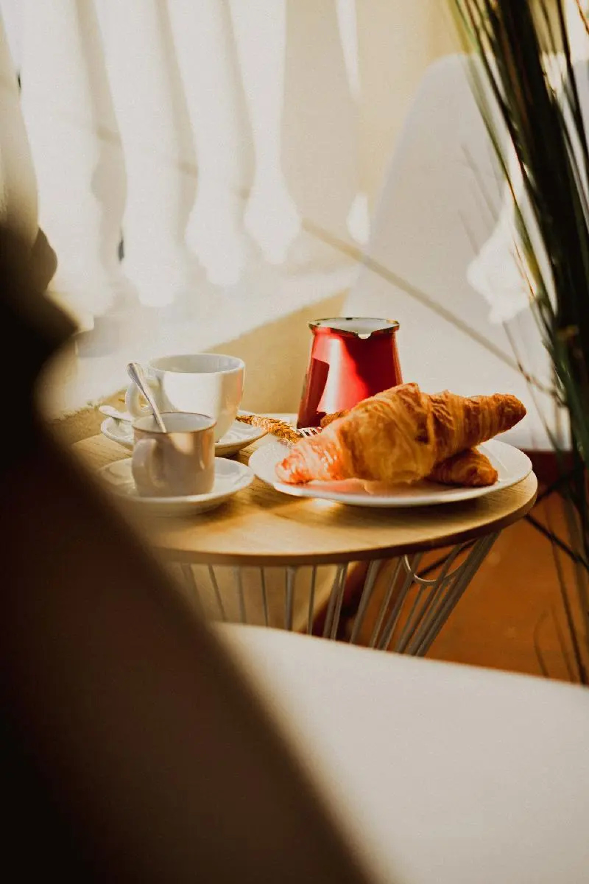 room00 Ventura Hostel