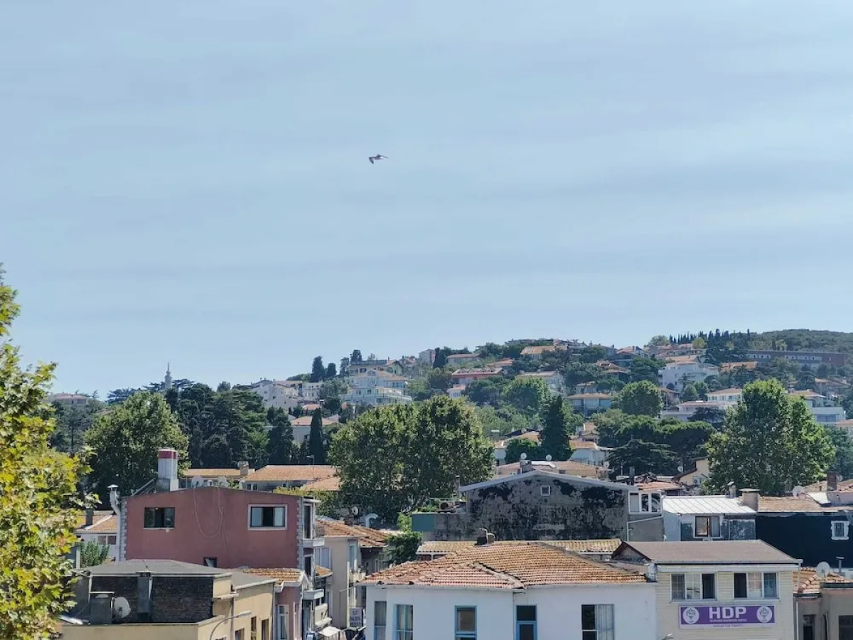 Отель Büyükada Mavi Palas