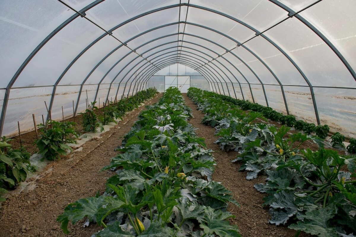 Agriturismo Arte Contadina