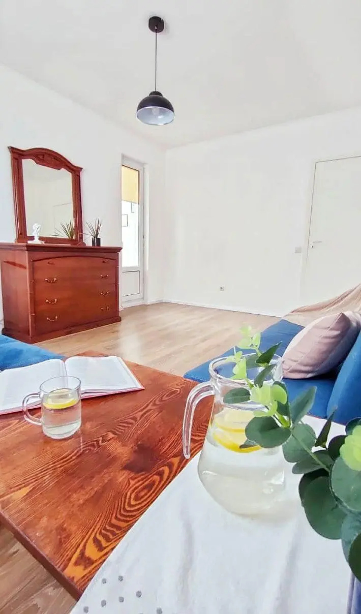 Солнечный эвкалипт на улице Крылова