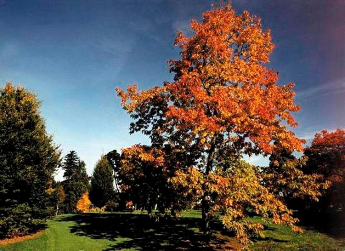 West Lodge Park Hotel