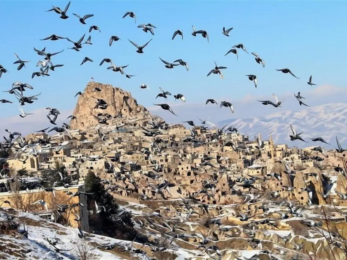 Pome Granate Cave Hotel