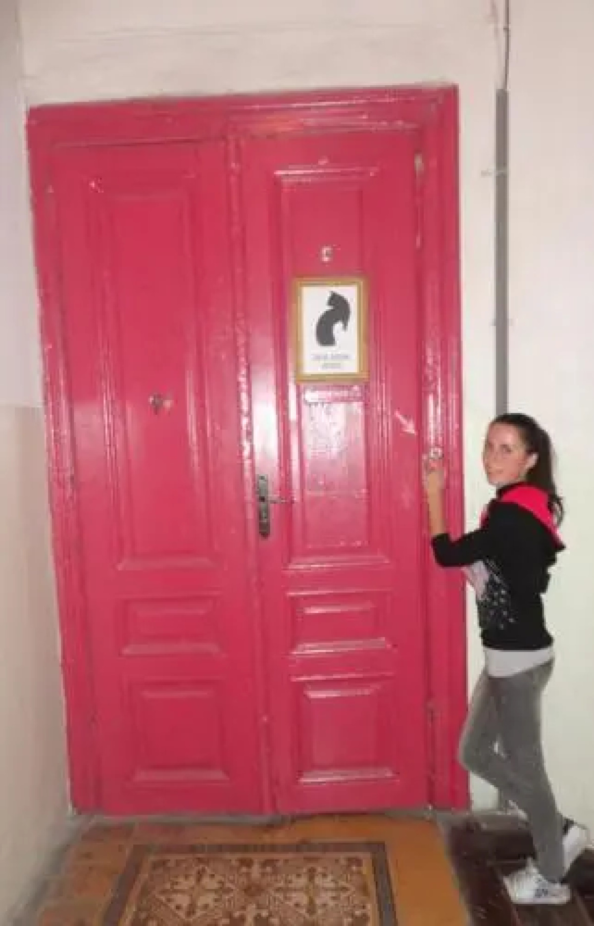 Cat's house Хостел