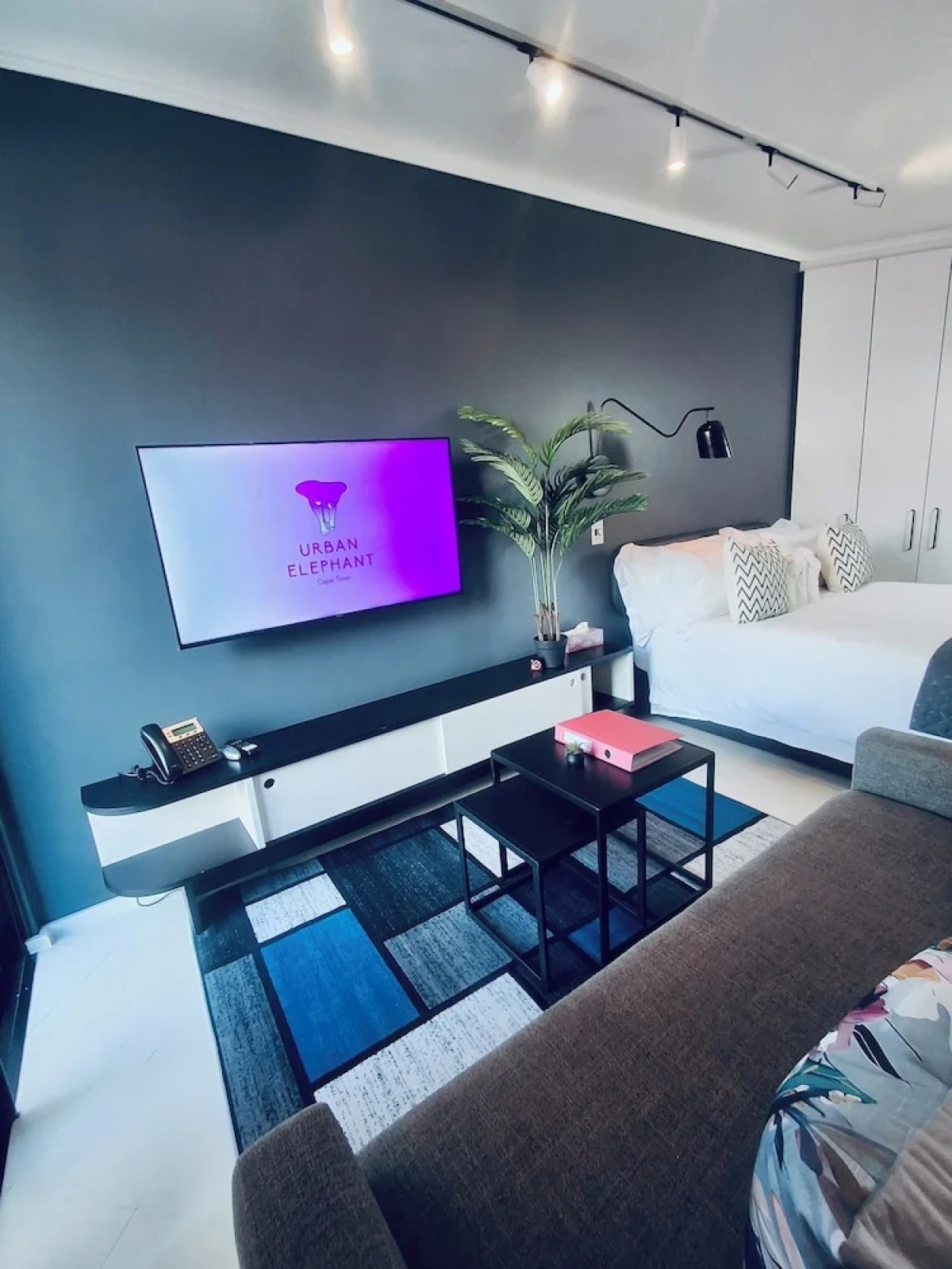 Urban Elephant Express The Flamingo