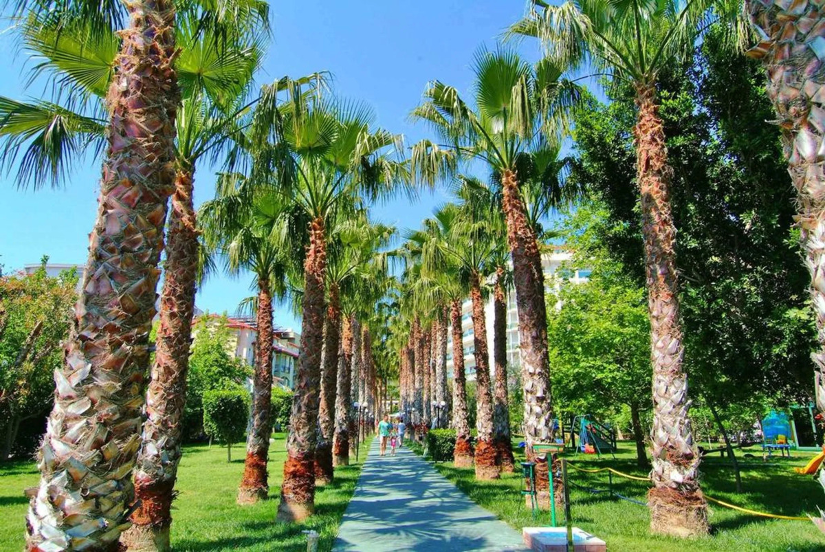 Gardenia Beach Hotel - All Inclusive