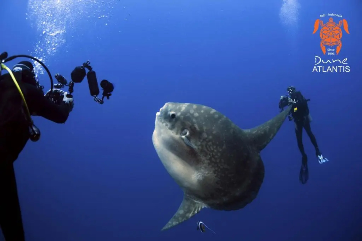 Sativa Sanur Cottages