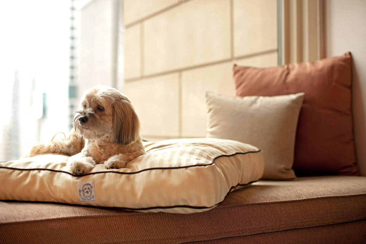 Grand Hyatt Sao Paulo