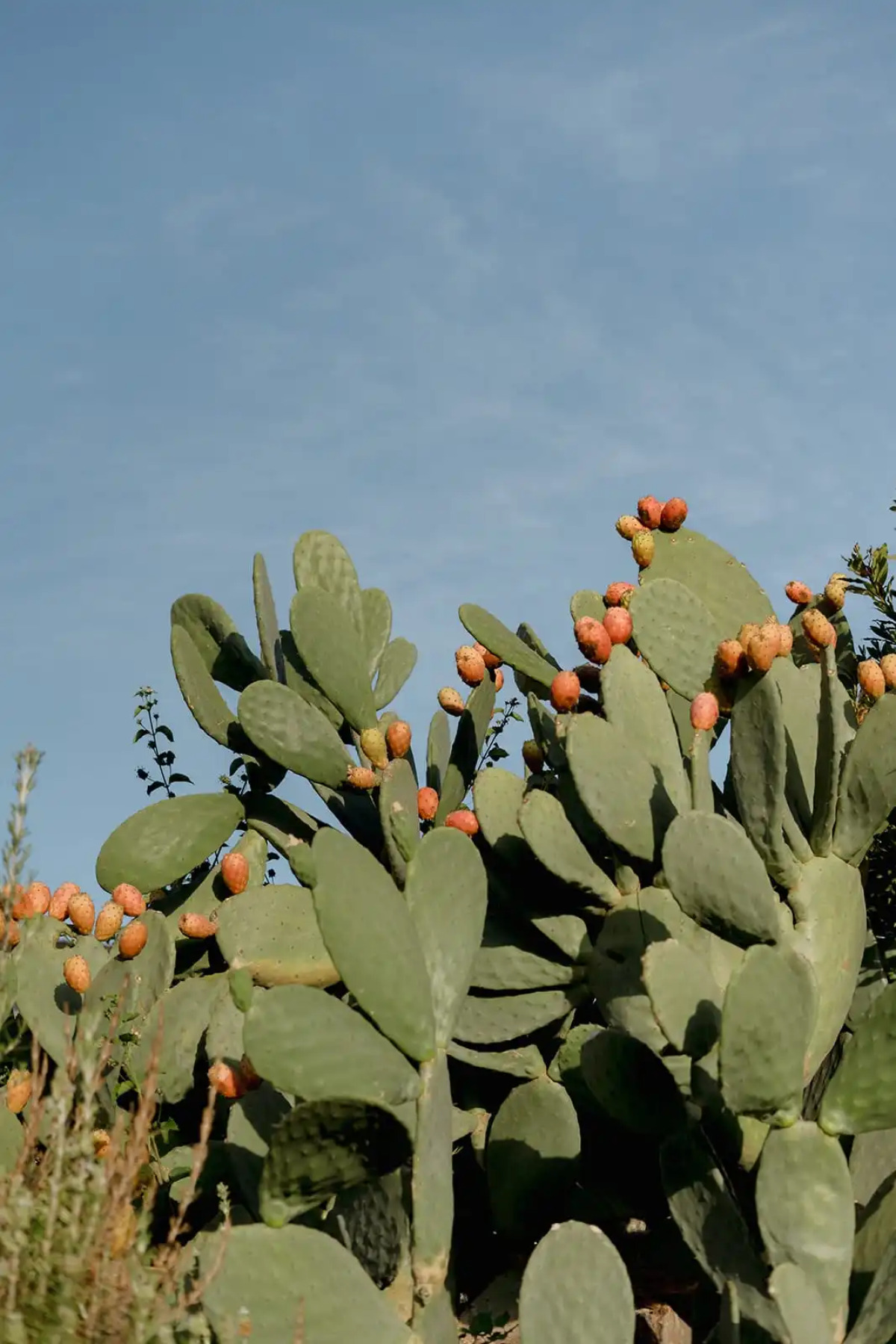 Village Heights Resort