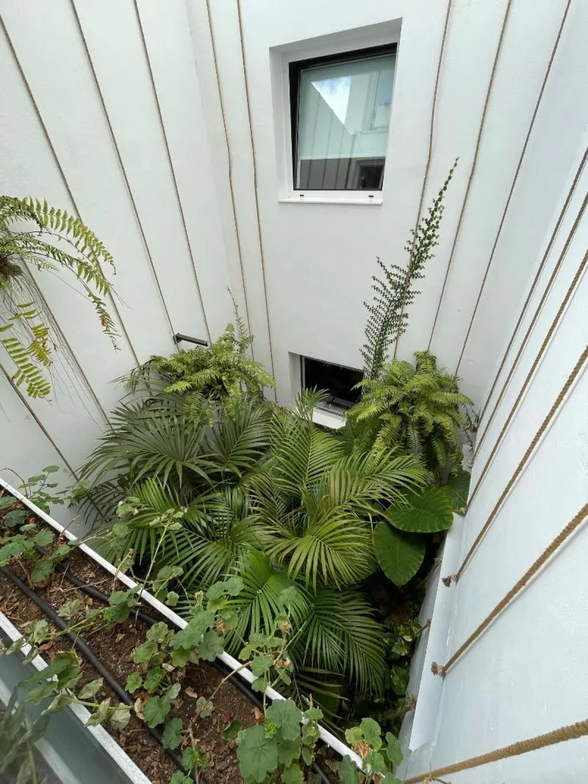 Hotel emblemático Hi Suites