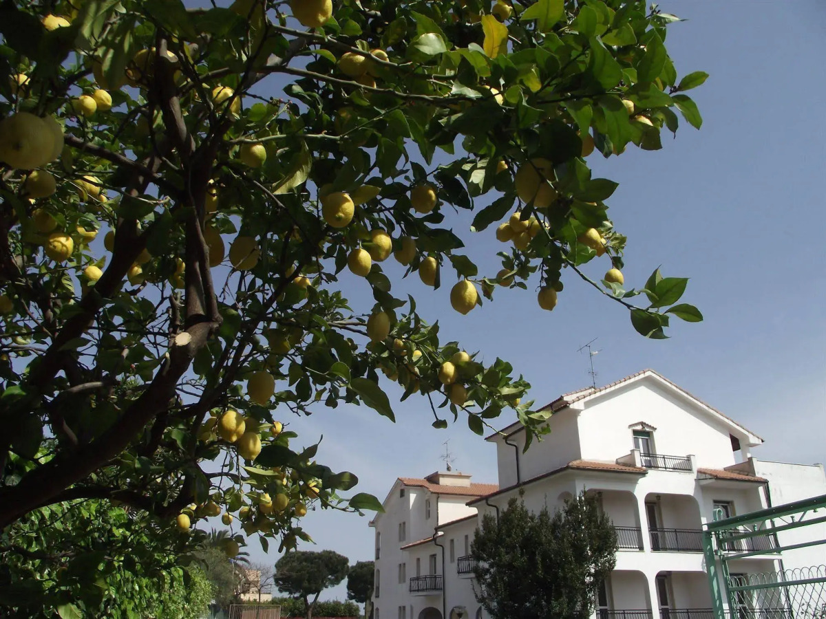 Residence Il Borgo degli Ulivi Resort