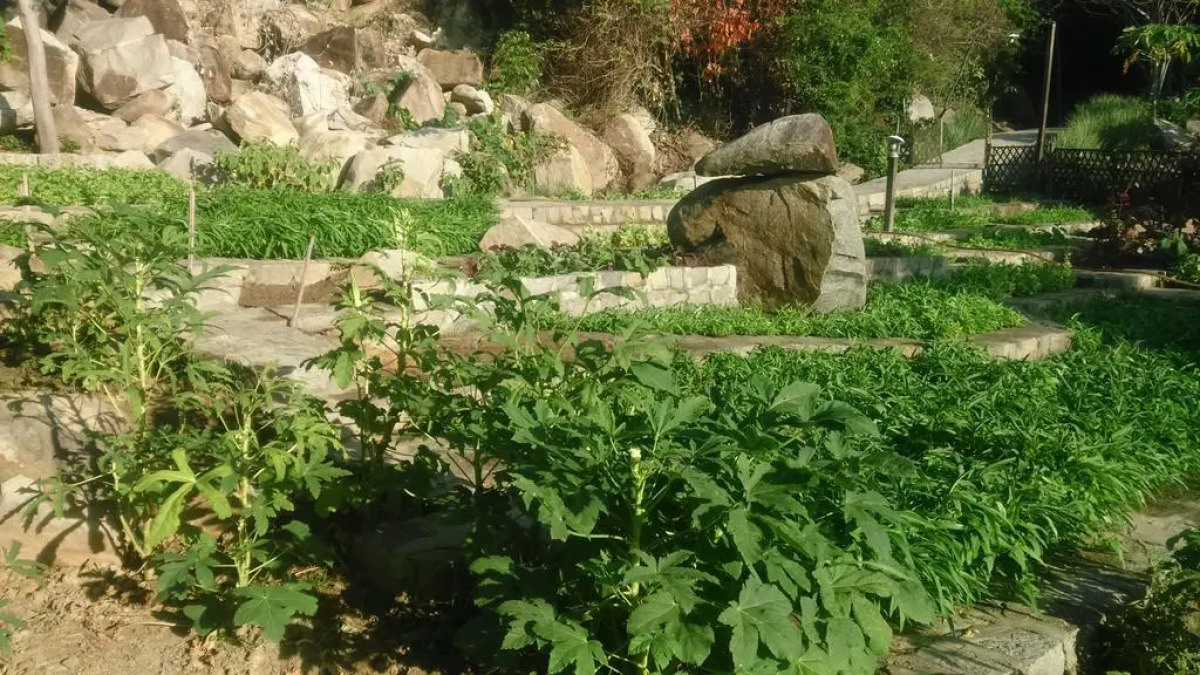 Wild Beach Resort & Spa Nha Trang