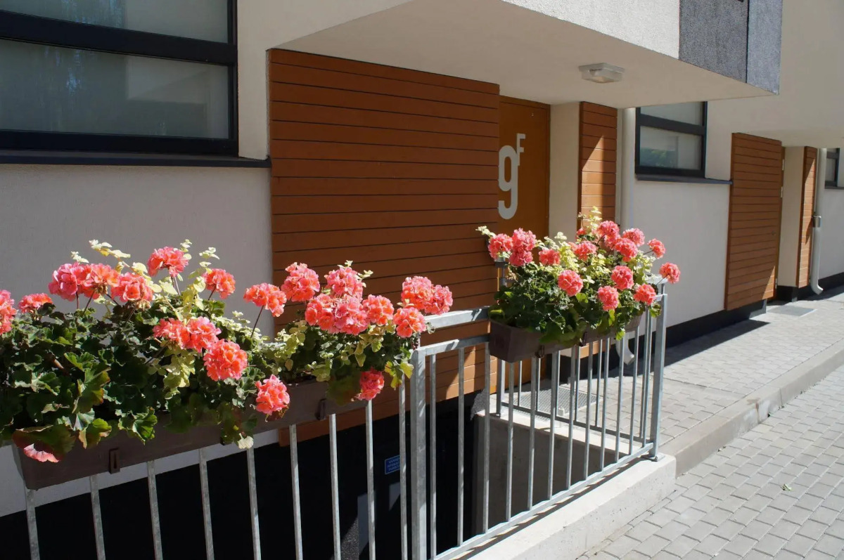 Studios LiveVilnius.lt