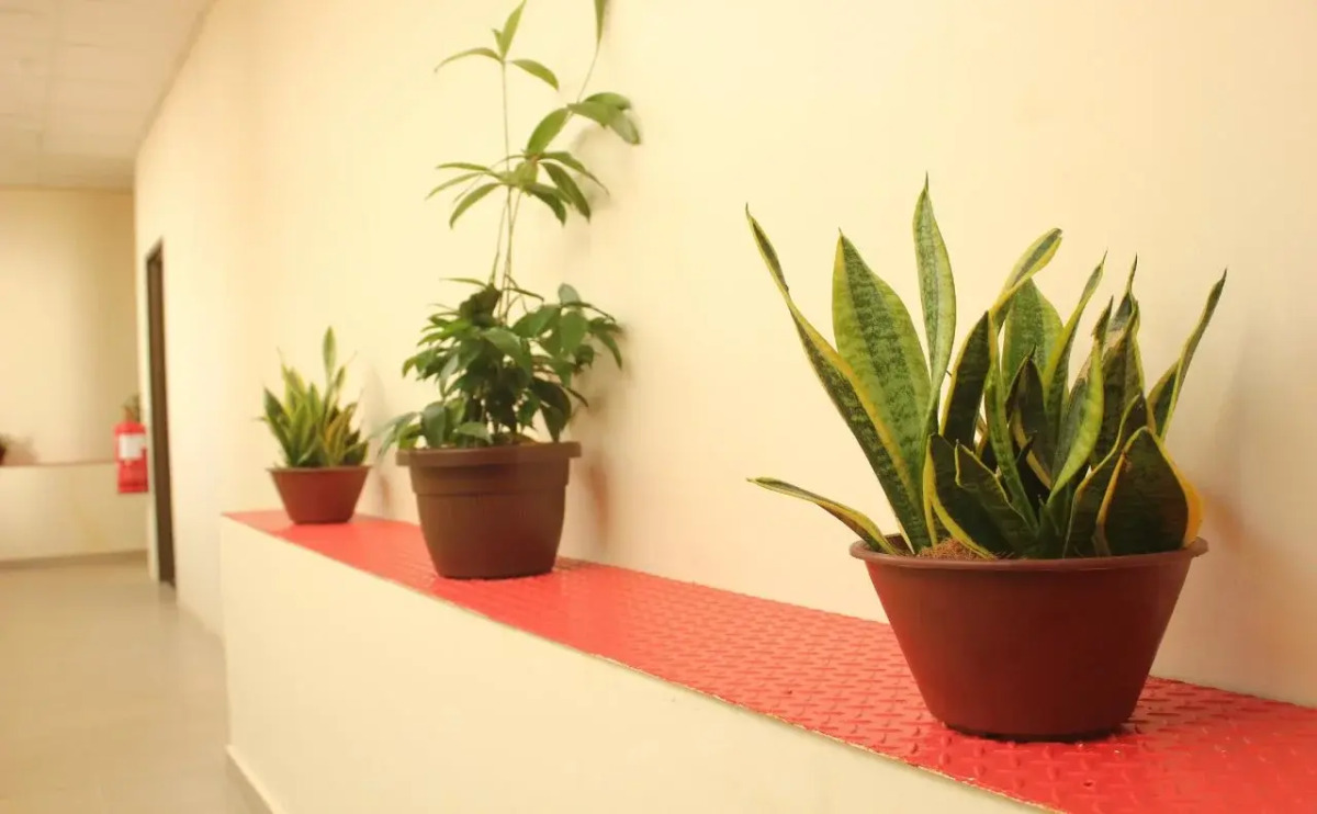 Paretto Seaview Hotel