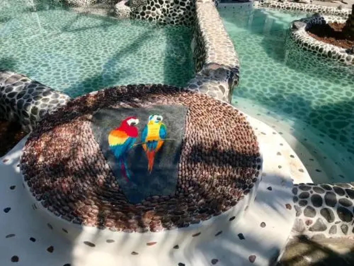 Flamingo Hotel & Spa - Pet Friendly