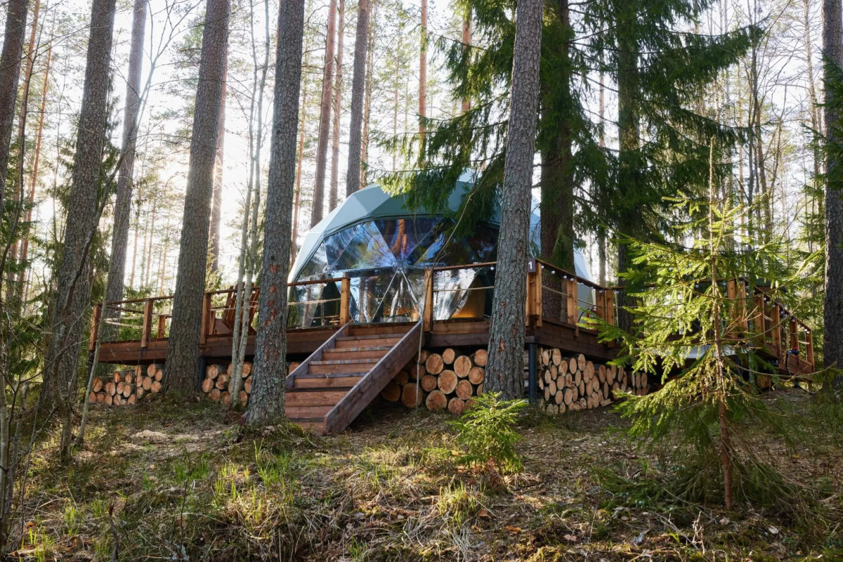 Forest Lake (Форест Лэйк)