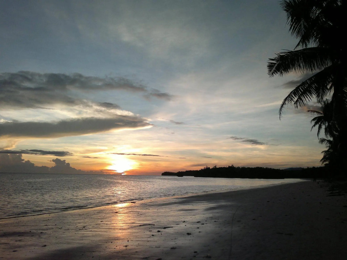 The Lazy Dog Bed & Breakfast