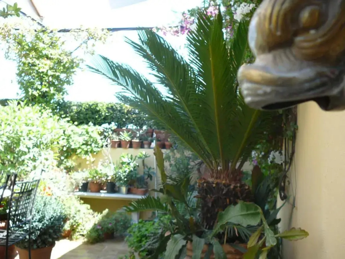 La Terrazza dei Pelargoni B&B