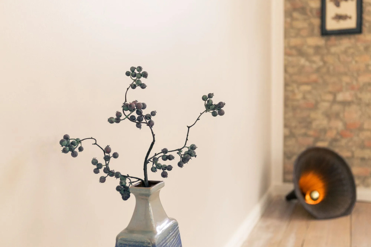 OSTKÜSTE - Villa Albatros Design Apartments