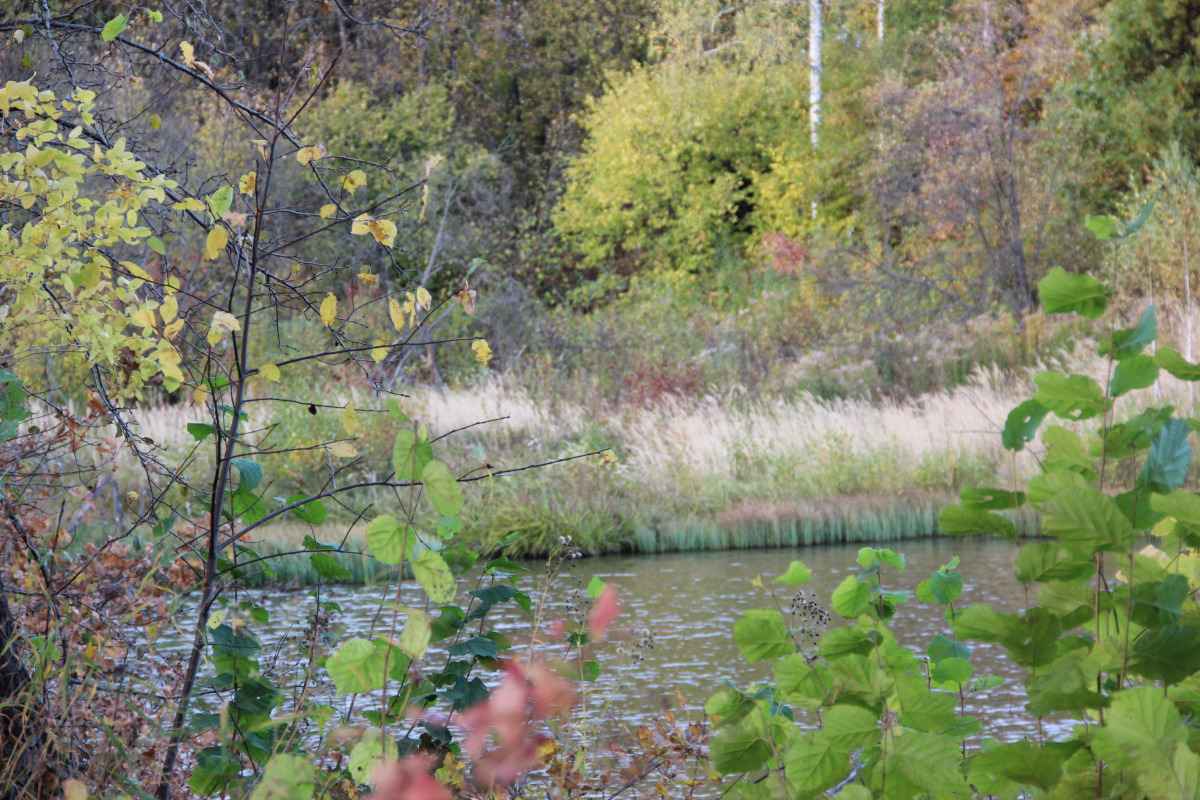 ЭКО Отель Настасьино Хуторок