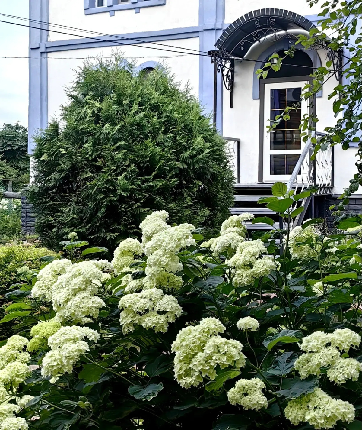 Гостевой дом Лавандовый сад