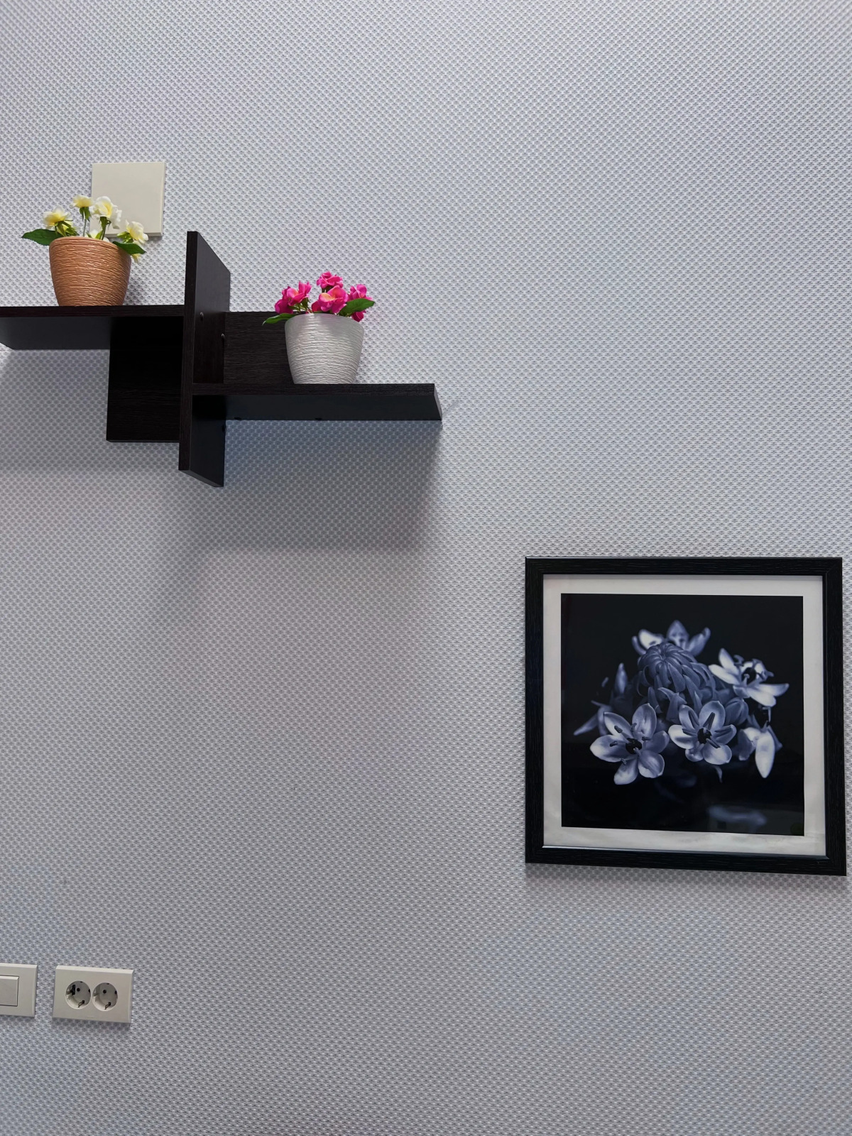 Отель Колизей