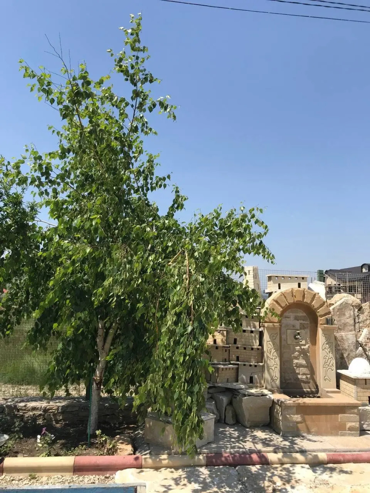 Гостевой Дом Berezka